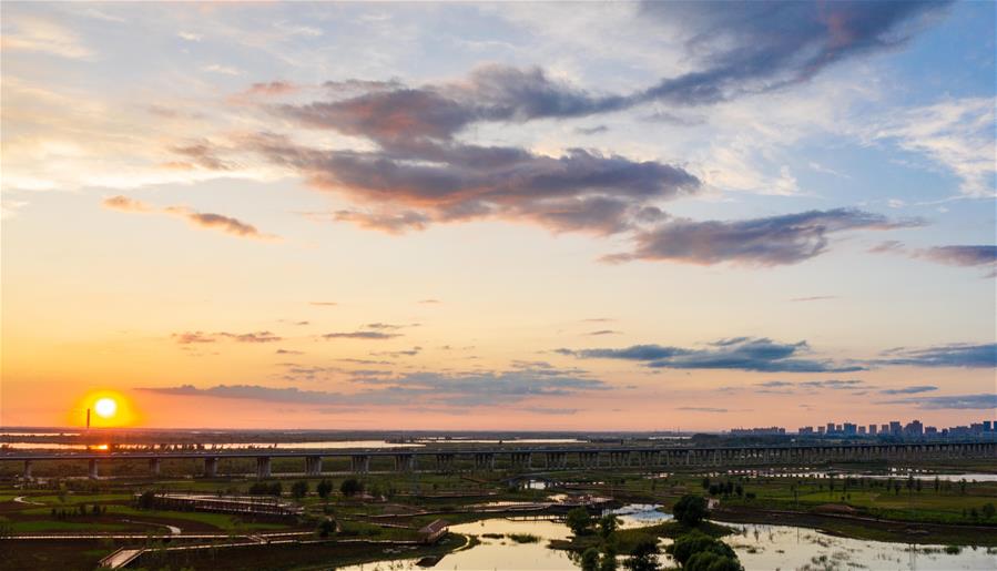 Central China's Wuhan to run for int'l wetland city