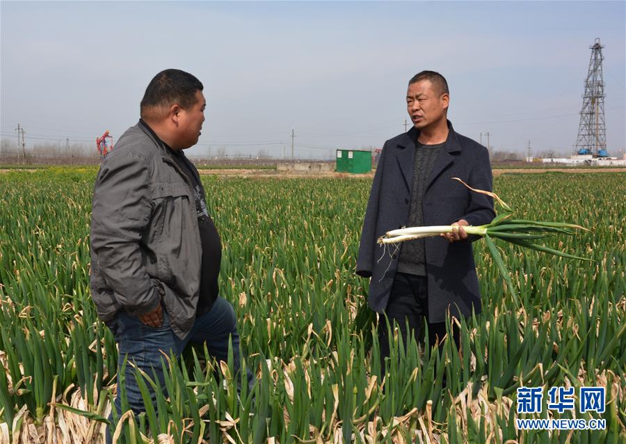（中国网事·感动2019·图文互动）（1）“独臂支书”李健