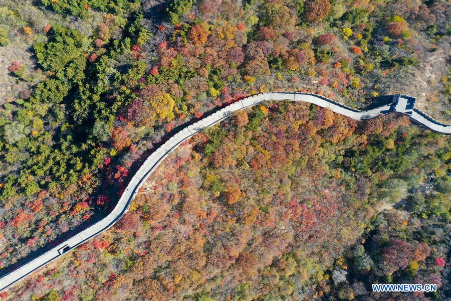 CHINA-BEIJING-BADALING GREAT WALL-AUTUMN VIEW (CN)