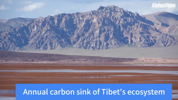 AIGC Video: China's Tibet achieves overall carbon neutrality