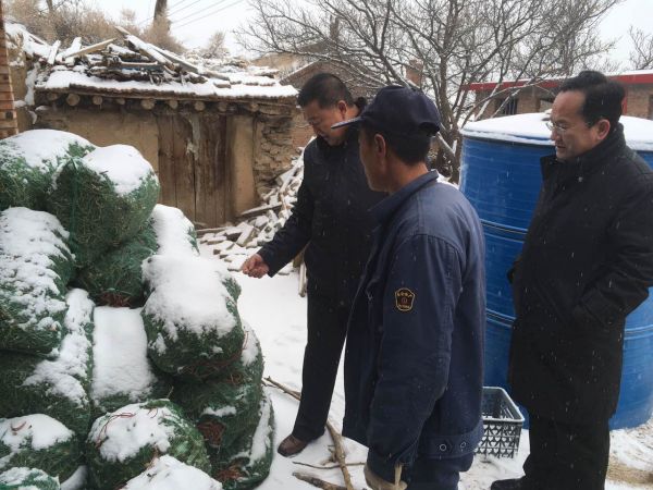 黄家窑-板蓝根-张建平（中）向村第一书记杨世兴（左一）介绍今年的板蓝根。陈忠华摄