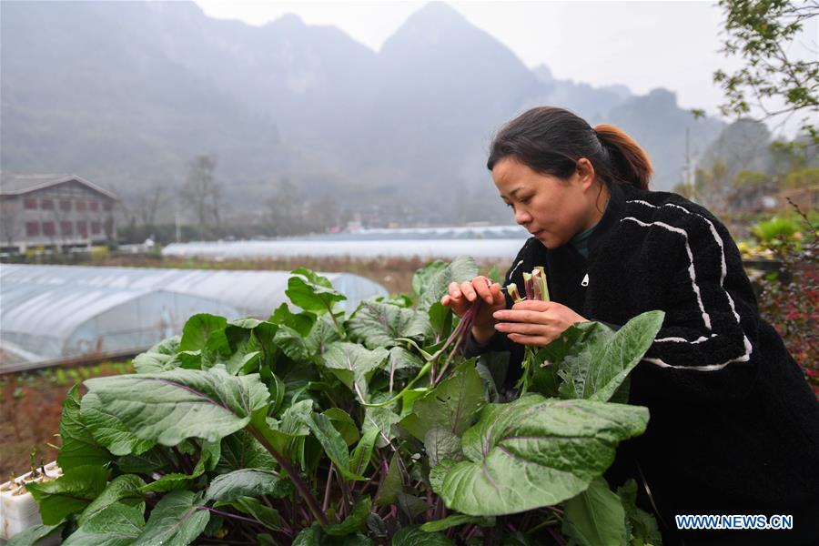 CHINA-HUNAN-POVERTY ALLEVIATION-RELOCATION PROGRAM (CN)