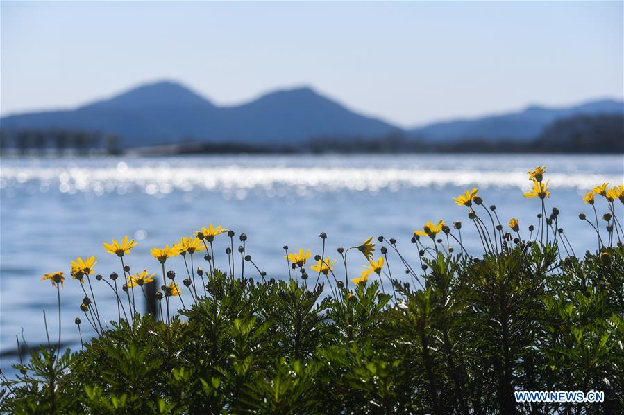 (ZhejiangPictorial) CHINA-ZHEJIANG-HANGZHOU-WEST LAKE-SPRING (CN)