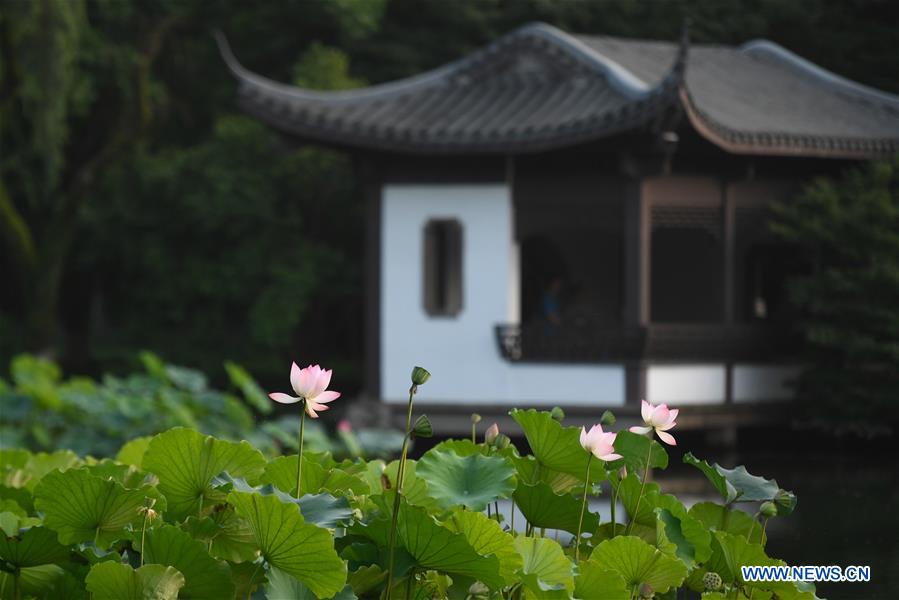 (ZhejiangPictorial) CHINA-ZHEJIANG-HANGZHOU-WEST LAKE-SUMMER (CN)