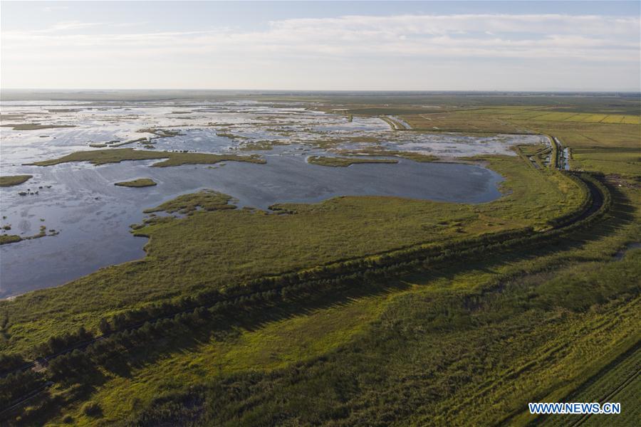 CHINA-HEILONGJIANG-FUJIN-ENVIRONMENT-WETLAND (CN)